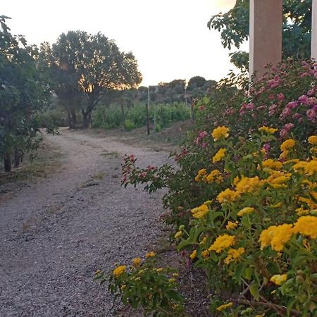 Villa Agriturismo Muristene Dorgali Exterior foto