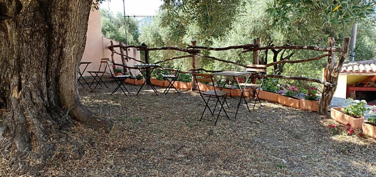 Villa Agriturismo Muristene Dorgali Exterior foto